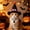 D, variant on Pet Halloween Mini Witch Hat Pointed Shape With Bow For Cats And Dogs, Small Fuzzy Ball Top Elastic Chin Strap Halloween, Small Witch Hat For Cats, for Cats, Kittens and Indoor Pet Care, Demon Feet