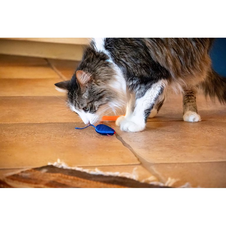 ring vibrate SmartyKat Flicker Balls Electronic Light Ball Cat Toys, Battery Powered, Set of 2 main image 0