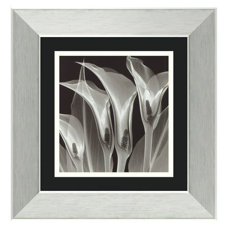 Four Callas #3 Framed Wall Art by Steven N. Meyers - 13.89W x 14.39H in.