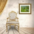 thumbnail image 3 of Fitzharris, Tim 32x26 Gold Ornate Wood Framed with Double Matting Museum Art Print Titled - Green Violet-Ear Hummingbird and Green-Breasted Mango Hummingbirds, 3 of 4