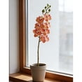 thumbnail image 4 of Tallos de mini orquídeas artificiales | Ramas de Phalaenopsis artificiales | Flores artificiales táctiles para ramos de flores, decoración del hogar, centros de mesa para bodas y fiestas., 4 of 5