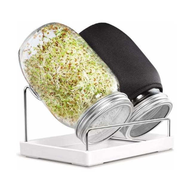 Sprouting Kit, Versatile Seeds & Easy Sprouting: Grow Healthy Broccoli, Alfalfa Seeds, Mung Beans in Stainless Steel Stand, Complete Jar Set for Your Kitchen Counter. The image shows two glass jars tilted on a 304 stainless steel stand with a white melamine tray. One jar contains fresh green sprouts, while the other is covered with a black sleeve. The kit includes sprout lids for optimal drainage and air circulation, making it ideal for growing nutritious sprouts at home.