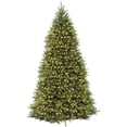 thumbnail image 1 of National Tree Company 10 Foot Pre Lit Dunhill Fir Artificial Christmas Tree, 1 of 8
