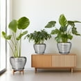 thumbnail image 6 of Flower Pots Set of 3, 6/8/10 inch Round Ceramic Planter with Drainage, Modern Pots for Indoor Plants for Succulents & Office Decor, Slivery, 6 of 8