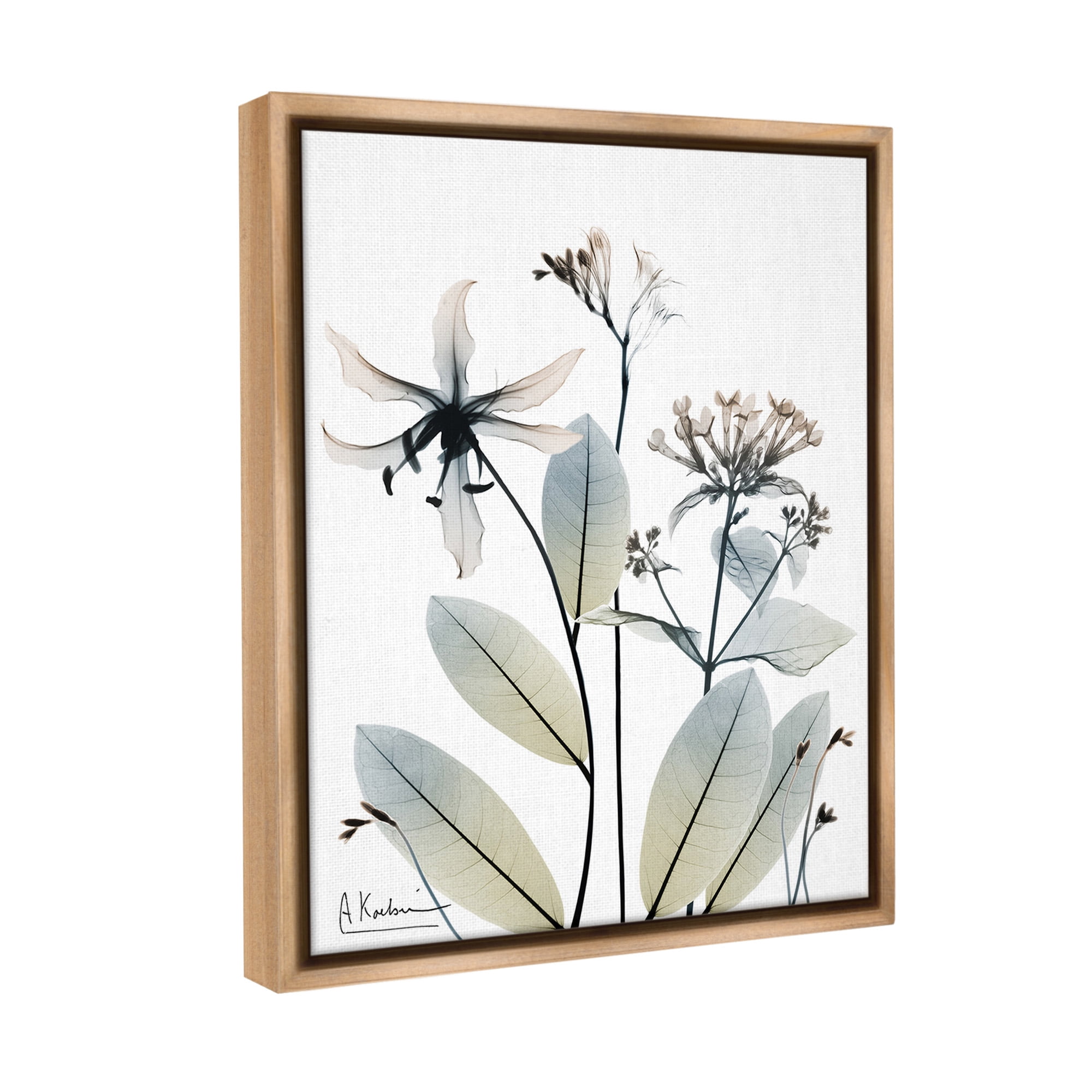 Stupell Industries Minimal Plant Blossoms Botanical & Floral Photography Brown Floater Framed Canvas Art Print Wall Art, 17 x 21