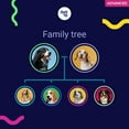 thumbnail image 4 of Koko DNA Test for Dogs | Advanced Range | 175 Breeds, Health & Traits Reports | All Fees Included, 4 of 10