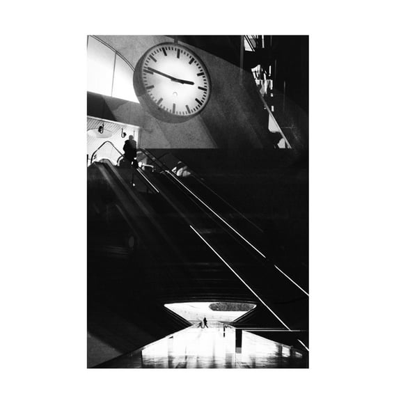 Canvas Wall Art - Paulo Abrantes 'Ascend A Fall' Wall Art for Living Room, Bedroom, or Office Décor by Trademark Fine Art - 12 x 19 Inches