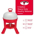 thumbnail image 2 of Little Giant 5-Gallon Red Plastic Dome Waterer Accomodates Up To 40 Chickens, 2 of 6