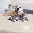 thumbnail image 2 of Manta para perros PETMAKER reversible Sherpa 150 x 180 cm, color crema, 2 of 9