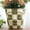 Checkered - Sage Green, variant on GUGUGO Checkered Face Planters Pots Head, Unique Plant Pots, Eclectic Head Planter for Indoor Plants with Drainage, Cute Funky Flower Pot Heads as Room Decor Aesthetic for Modern Home, Green