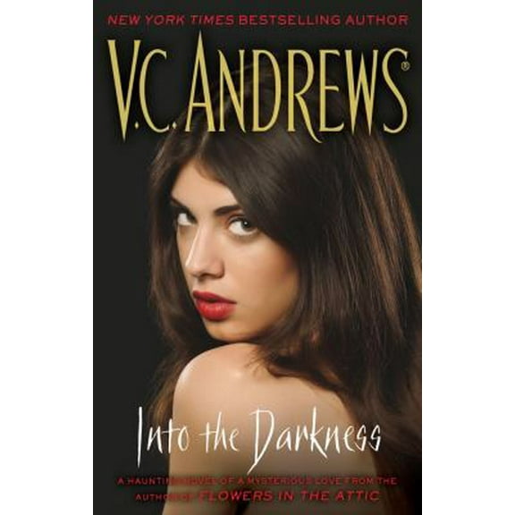 Pre-Owned Into the Darkness (Hardcover) 1451664303 9781451664300