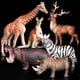 thumbnail image 1 of Figuras de animales de safari de aspecto realista: 6 juguetes grandes de plástico de animales de la jungla Jirafa + alce + canguro + cebra + hipopótamo + rinoceronte brillar Juguete, 1 of 5