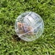thumbnail image 5 of Pelota para hámster, pelota para correr para hámsters y ratones, movimiento, juguete para roedores para correr, plástico, 15 cm, transparente, 5 of 6