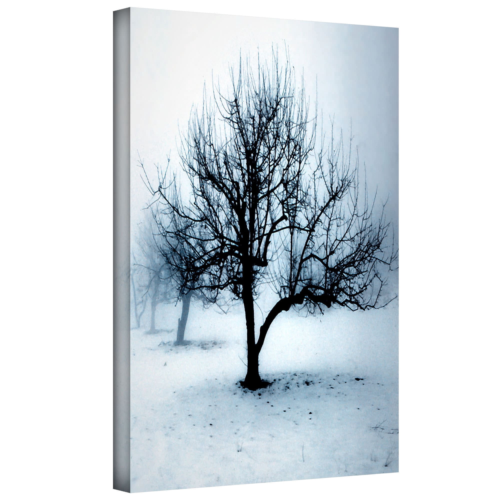 Dean Uhlinger "Winter Orchard" Gallery-Wrapped Canvas