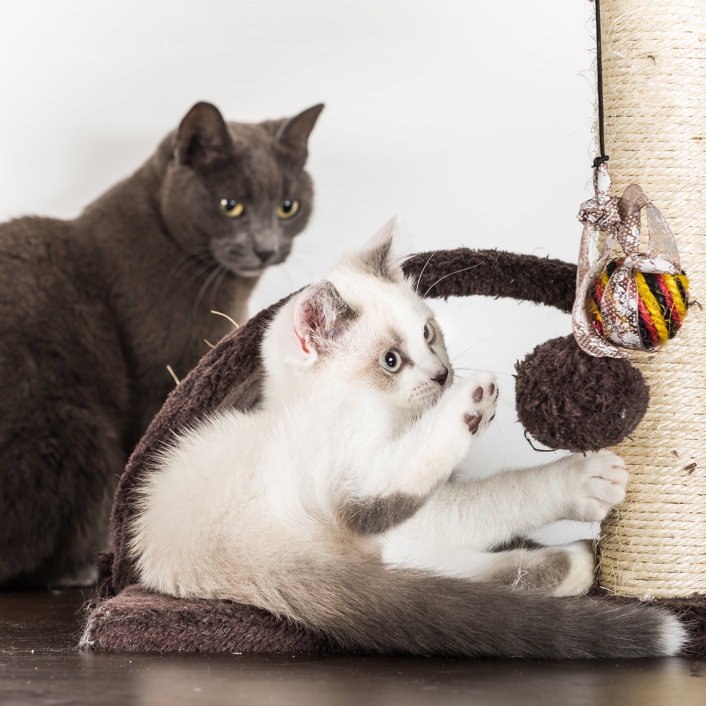 3 tier shop cat tree walmart