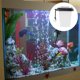 thumbnail image 1 of BRIGHTFUFU Alimentador De Gusanos Negro Con Ventosa Para Comida En Acuario, 1 of 5