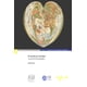 thumbnail image 1 of El mundo por descifrar, de Claval Paul, Blanda, 2020, 1 of 2