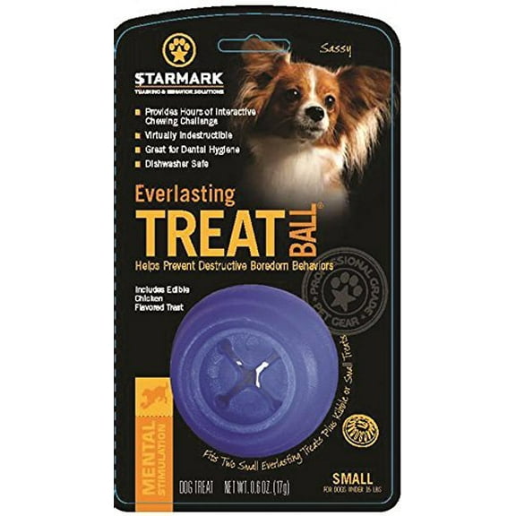 Starmark Everlasting Treat Ball with Dental Ridges for Chewers, Small
