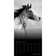 thumbnail image 3 of The Noble Horse | 2026 12x24" (Hanging) Square Wall Calendar | Plastic-Free, 3 of 9