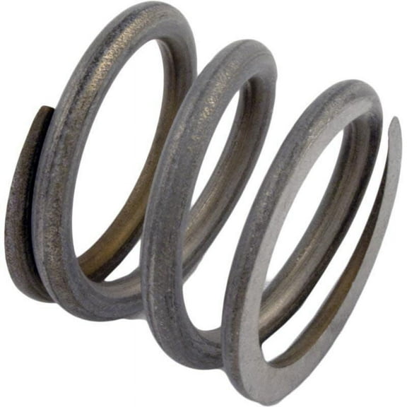 Pentair 14965-0006 Stainless Steel Spring