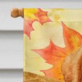 thumbnail image 3 of Carolines Treasures BB9925CHF Golden Retriever Fall Flag - Canvas House Size, 3 of 4