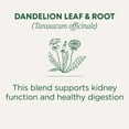 thumbnail image 3 of Traditional Medicinals Tea, Organic Dandelion Leaf & Root, Supports Kidney Function & Healthy Digestion, 16 Tea Bags, 3 of 5