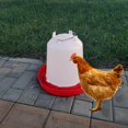 thumbnail image 1 of Automatic Poultry Drinker Waterer Water Container Dispenser Drinking Chick Drinker for Backyard Accessories 15L, 1 of 9