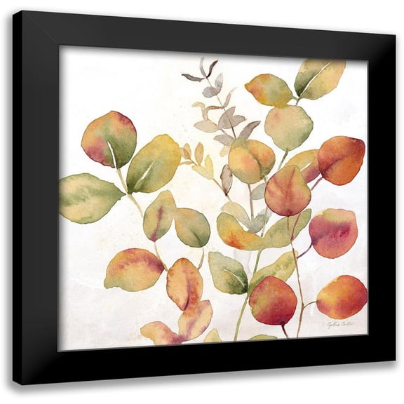 Coulter, Cynthia 20x20 Black Modern Framed Museum Art Print Titled - Eucalyptus Leaves spice I