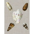 thumbnail image 2 of Vision Studio 15x18 Gold Ornate Wood Framed with Double Matting Museum Art Print Titled - Shells on Linen II, 2 of 4