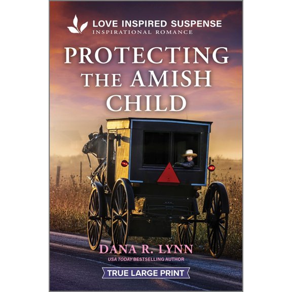 Amish Country Justice Protecting the Amish Child, Book 19, (Paperback)