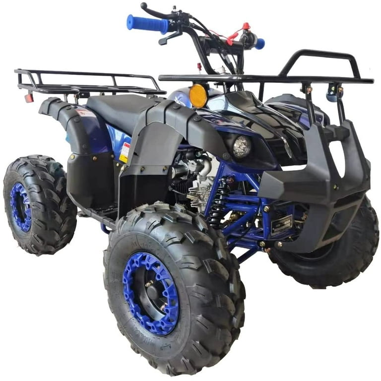 ドッグフード Taotao 150cc- 184cc Tao Tao Bull ATV 150CC GY6 Engine – BDX Performance