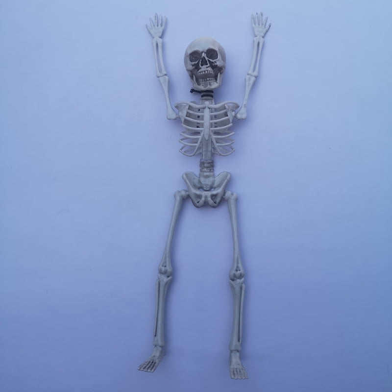 Details about   Halloween Prop Skeleton Skull Hand Lifelike Human Body Party Festival Decoration 