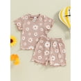 thumbnail image 4 of AceBaby Toddler Baby Girl Summer Outfit Daisy Print T-Shirt and Short 2Pcs Clothes Set for Kids at 0-5Y, 4 of 9