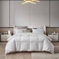 thumbnail image 2 of Farm To Home  Organic Blended Cotton White Down Comforter Twin, 2 of 5