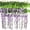 Purple, variant on Sinhoon 12 Pack 1 Piece 3.6 Feet Artificial Fake Wisteria Vine Ratta Hanging Garland Silk Flowers String Home Party Wedding Decor(Purple)