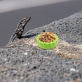 thumbnail image 4 of Luxshiny 30Ud Comedero Y Bebedero Para Geckos Y Reptiles Fácil De Limpiar Con Base Estable, 4 of 8
