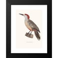 thumbnail image 2 of Coenraad Jacob Temminck 18x24 Black Modern Framed Museum Art Print Titled - Black Eyebrow Peak (1838), 2 of 5