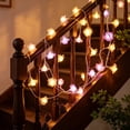 thumbnail image 6 of Christmas Lights 10FT 20 LED Small Rose Flower Bulbs Battery Powered Indoor Hanging String Lights for Holiday Party Mantel Porch Home Decor, 6 of 6