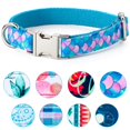 thumbnail image 1 of Collar de perro ajustable Suave JAMW Sencillez para perros pequeños medianos cachorros gatos, 1 of 5