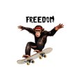 thumbnail image 3 of Adhesivos de pared Skateboarding Gorilla PVC Freedom 40 x 40 cm, 3 of 4