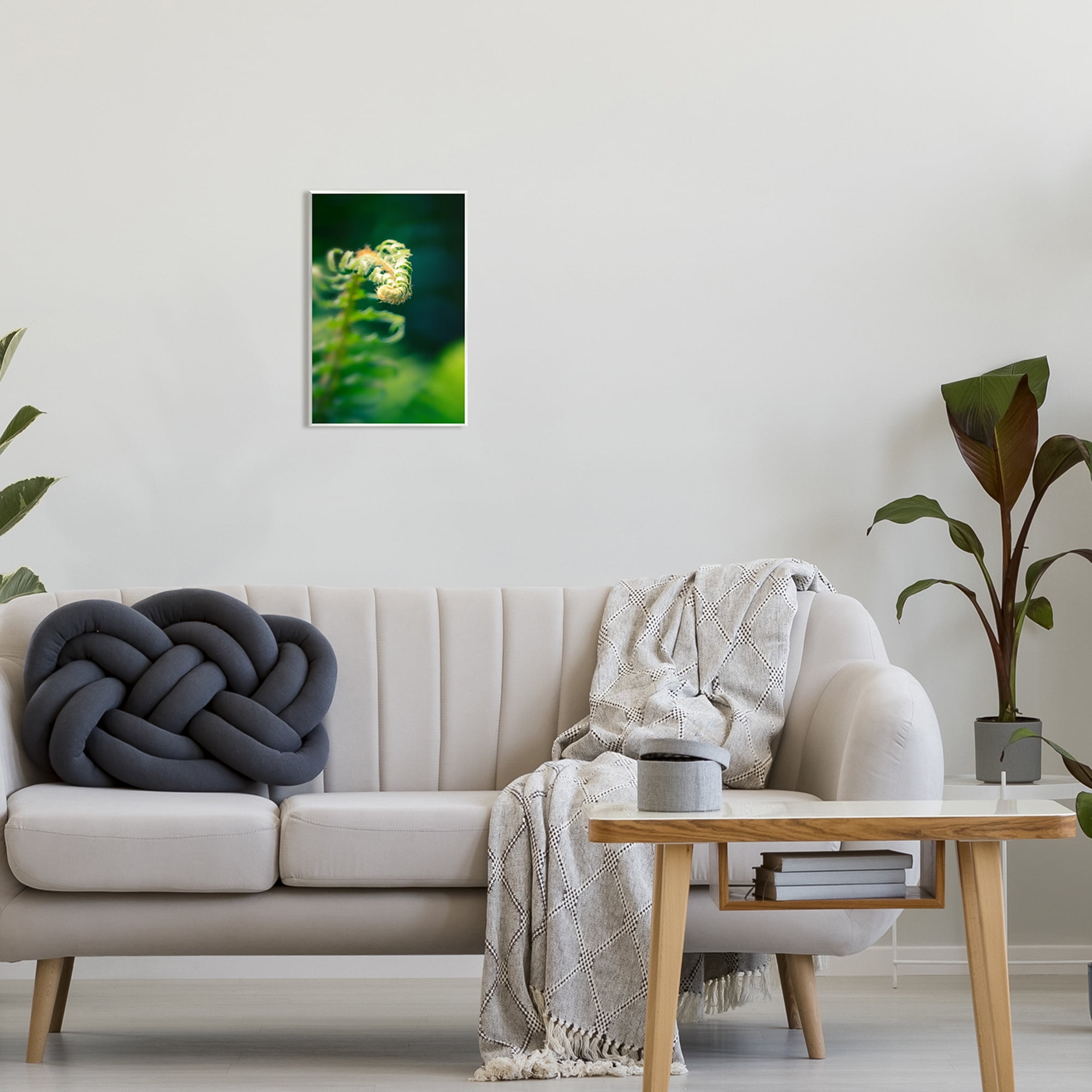 Stupell Fern Leaves Nature Photography Botanical & Floral Photography Wall Plaque Unframed Art Print Wall Art