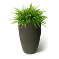 thumbnail image 5 of Algreen Products 87311 Athena Self-Watering Flower Pot and Planter, Brownstone, 5 of 6