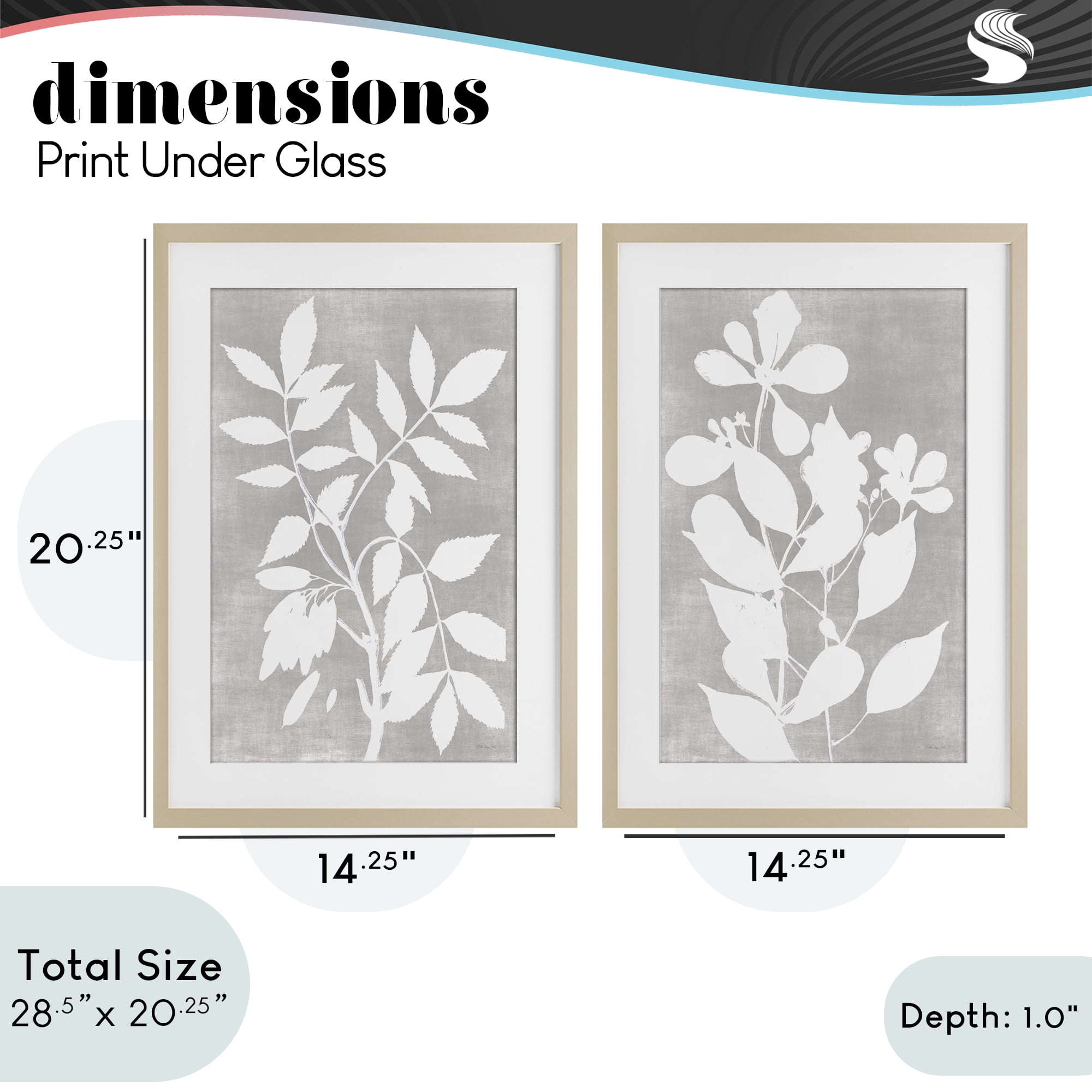 Stupell Industries Grey Foliage Impression 2 Piece Birch Framed Print Under Glass Set, design by Stellar Design Studio