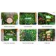 thumbnail image 4 of Plantas Artificiales, Seto Verde, Panel De Pared, Alfombrilla De Cobertura De Privacidad Para Balcón, Decoración De Valla De Jardín Yuarrent HA042601-02, 4 of 6