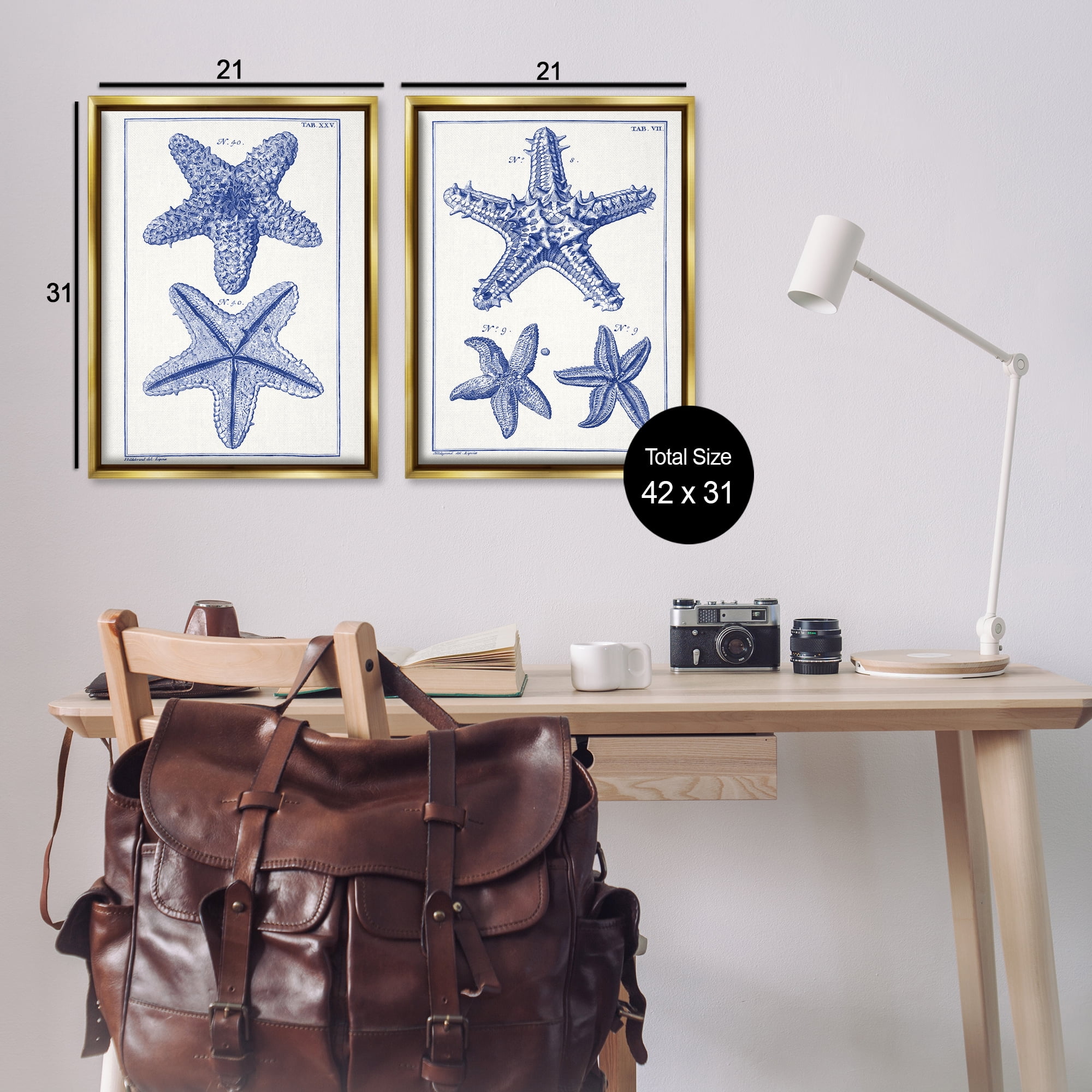 Stupell Industries Diagram of a Starfish Nautical & Beach Painting Gold Floater Framed Canvas Art Print Wall Art, 21 x 31, Set of 2