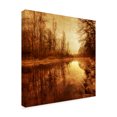 thumbnail image 2 of Trademark Fine Art 'Floating Down The River' Canvas Art by Philippe Sainte-Laudy, 2 of 4