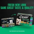 thumbnail image 4 of Cesar Poultry Lovers Variety Pack Chicken, Turkey Or Duck, Wet Dog Food, 3.5 Oz Trays (36 Ct), 4 of 13