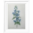 thumbnail image 2 of Art.com Bellflower Art Print by Pierre-Joseph Redoute, White Frame Wall Art, 32" x 40", 2 of 5