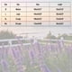 thumbnail image 3 of Xuyuer Women's Sleeveless Tank Tops Summer Shirts Casual Blouses Solid Color Round Neck Button-back Loose Flowy Loose Fit Tank Top Sleeveless Summer Tops Shirts, 3 of 8