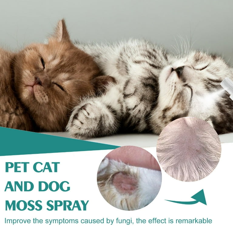 Cat ringworm medicine walmart deals